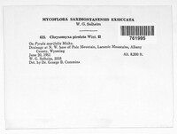Image Associated With the Occurence